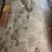 ヒメ日記 2025/11/09 11:16 投稿 かぐら ドMな逆バニーちゃん　すすきの店