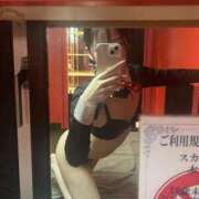 ヒメ日記 2025/11/15 11:36 投稿 かぐら ドMな逆バニーちゃん　すすきの店