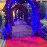 ヒメ日記 2025/11/20 08:30 投稿 かぐら ドMな逆バニーちゃん　すすきの店