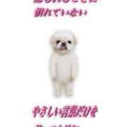 ヒメ日記 2025/12/04 01:36 投稿 かぐら ドMな逆バニーちゃん　すすきの店