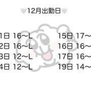 ヒメ日記 2025/12/10 03:36 投稿 かぐら ドMな逆バニーちゃん　すすきの店