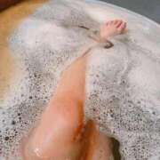 ヒメ日記 2025/12/15 08:06 投稿 みやび 三浦屋別館