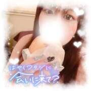 ヒメ日記 2026/01/17 07:16 投稿 みやび 三浦屋別館