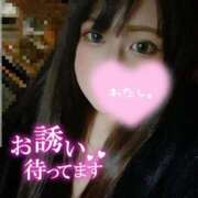 ヒメ日記 2026/02/19 15:00 投稿 みやび 三浦屋別館