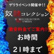 ヒメ日記 2026/01/17 12:51 投稿 しずは 奴隷コレクション梅田店