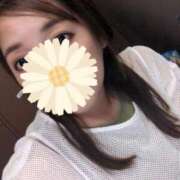 ヒメ日記 2025/10/19 11:16 投稿 まひる 三浦屋別館