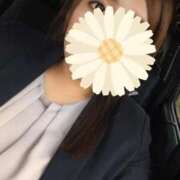 ヒメ日記 2025/10/25 12:07 投稿 まひる 三浦屋別館