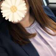 ヒメ日記 2025/11/06 14:36 投稿 まひる 三浦屋別館