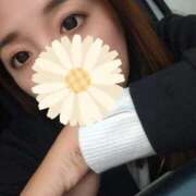 ヒメ日記 2025/11/23 16:36 投稿 まひる 三浦屋別館