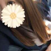 まひる 華🌸金 三浦屋別館