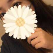 ヒメ日記 2025/12/09 17:46 投稿 まひる 三浦屋別館