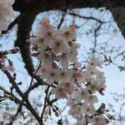 ヒメ日記 2026/03/30 10:36 投稿 まひる 三浦屋別館