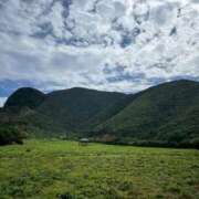 ヒメ日記 2025/11/27 08:42 投稿 みく 三浦屋別館