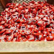 ヒメ日記 2025/09/27 12:02 投稿 ももこ 奥様はエンジェル　町田店