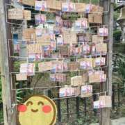 ヒメ日記 2025/11/12 15:11 投稿 ももこ 奥様はエンジェル　町田店