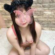 ヒメ日記 2026/02/14 02:44 投稿 れあ 奥様なでしこ