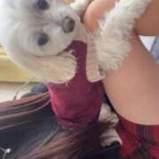 ヒメ日記 2025/12/29 18:24 投稿 花宮かのん 池袋パラダイス