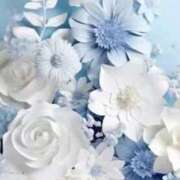 ヒメ日記 2025/09/28 14:11 投稿 心美(ここみ) グランドオペラ横浜