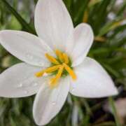 ヒメ日記 2025/09/10 18:28 投稿 ちあき ギン妻パラダイス 和歌山店