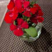 ヒメ日記 2025/09/28 18:13 投稿 ちあき ギン妻パラダイス 和歌山店