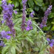 ヒメ日記 2025/10/05 21:31 投稿 ちあき ギン妻パラダイス 和歌山店