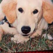 ヒメ日記 2025/10/24 00:40 投稿 ちあき ギン妻パラダイス 和歌山店