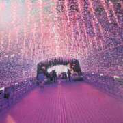 ヒメ日記 2025/12/13 15:45 投稿 ちあき ギン妻パラダイス 和歌山店