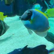 ヒメ日記 2025/08/29 18:45 投稿 加藤 セクハラ東京オフィス