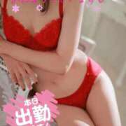 ヒメ日記 2025/11/27 09:34 投稿 えり sakura