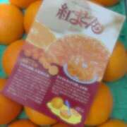 ヒメ日記 2025/12/14 08:42 投稿 えり sakura