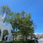 ヒメ日記 2025/09/01 12:54 投稿 まこと ぷるるん小町 京橋店