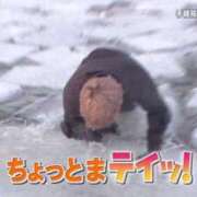 ヒメ日記 2025/08/26 13:57 投稿 みるく ギャルコレクション