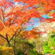 ヒメ日記 2025/10/07 17:42 投稿 元木あや(もときあや) 姫路マダム大奥