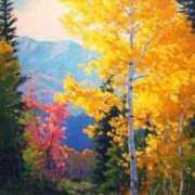 ヒメ日記 2025/11/09 23:52 投稿 元木あや(もときあや) 姫路マダム大奥