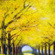 ヒメ日記 2025/11/15 03:02 投稿 元木あや(もときあや) 姫路マダム大奥