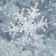 ヒメ日記 2025/11/23 01:22 投稿 元木あや(もときあや) 姫路マダム大奥