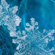 ヒメ日記 2025/11/25 00:47 投稿 元木あや(もときあや) 姫路マダム大奥