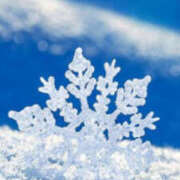 元木あや(もときあや) ありがとうございました 姫路マダム大奥