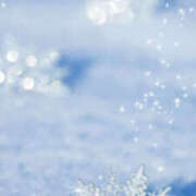 元木あや(もときあや) ありがとうございました 姫路マダム大奥