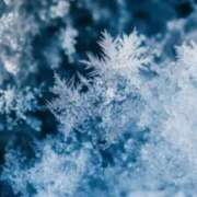 元木あや(もときあや) ありがとうございました 姫路マダム大奥