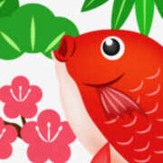 ヒメ日記 2025/12/31 20:52 投稿 元木あや(もときあや) 姫路マダム大奥