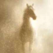 ヒメ日記 2026/01/11 01:22 投稿 元木あや(もときあや) 姫路マダム大奥