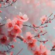 ヒメ日記 2026/02/24 03:22 投稿 元木あや(もときあや) 姫路マダム大奥