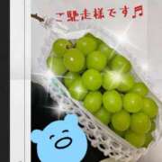 しいな わ〜い！！ セレブクエスト-omiya-