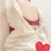 ヒメ日記 2025/08/24 12:03 投稿 むらさき☆ 豊橋豊川ちゃんこ