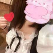 ヒメ日記 2025/08/27 15:02 投稿 むらさき☆ 豊橋豊川ちゃんこ