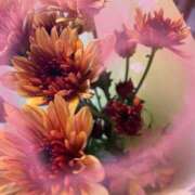 ヒメ日記 2025/09/25 20:02 投稿 むらさき☆ 豊橋豊川ちゃんこ