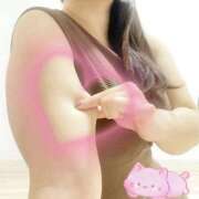 むらさき☆ 知ってる？ 豊橋豊川ちゃんこ