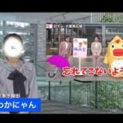 ヒメ日記 2026/03/31 12:26 投稿 若菜(わかな) グランドオペラ東京