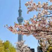 杏奈(あんな) お散歩キロク。 グランドオペラ東京